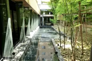 アデニウム吉祥寺