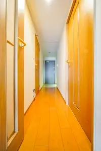 ルネプライディア