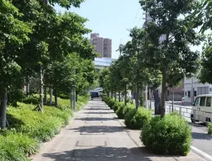 阿波座ライズタワーズ　フラッグ４６