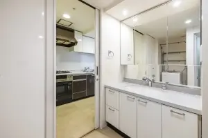 キャメリアタワー川口