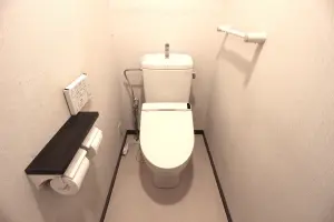 ライオンズステーションプラザ新越谷