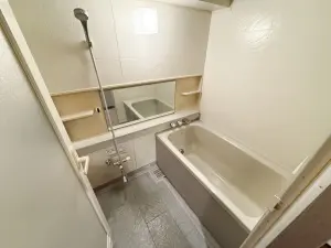 ダイアパレス平塚見附