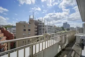 エルラフィナ白金