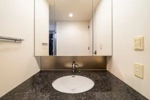 ＴＨＥ　ＴＯＹＯＳＵ　ＴＯＷＥＲ