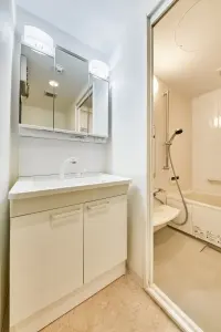 ルイシャトレ三条御幸町