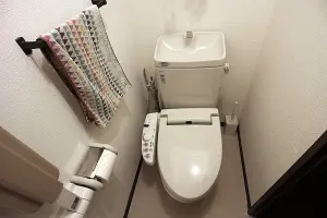 ライオンズステーションタワー北越谷