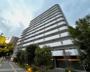 レクセルプラザ守谷