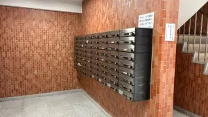 シャンボール弦巻