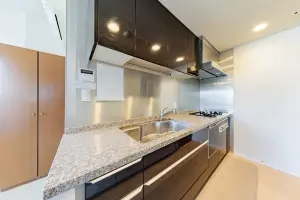 シティタワーズ豊洲　ザ・ツイン　サウスタワー