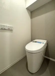 ルピナス湘南海岸