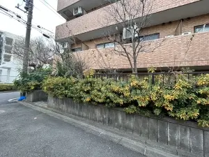 ライオンズマンション雪ケ谷