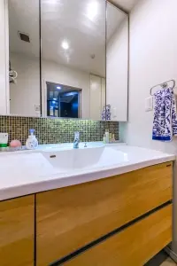 ＬＡＹＥＲＳ　ＨＯＵＳＥ　杉並　善福寺川公園