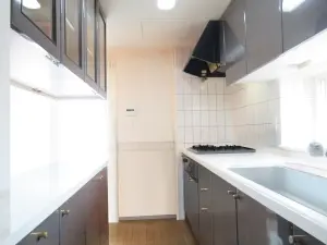 パシフィック南１５条