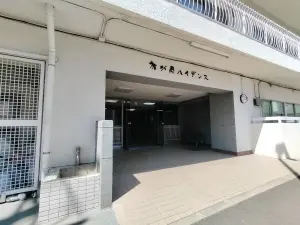 榴ケ岡ハイデンス