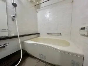 日神パレステージ草加新田