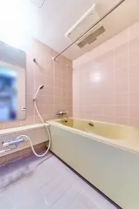 ナイスアーバン新川崎ステイツ