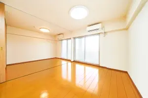 ルネプライディア
