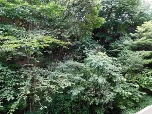 ＢＲＡＮＺ赤坂