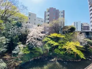 トーア駒込