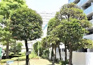 深川住宅Ｂ棟