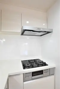 ライオンズマンション天神町