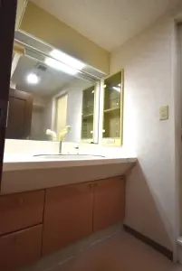 ダイアパレスリバ－サイド府中是政