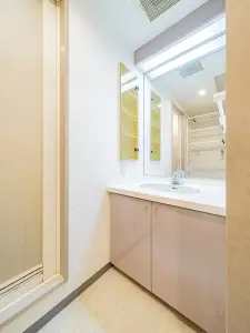 ライオンズプラザ錦糸町