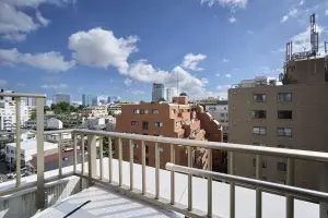 エルラフィナ白金