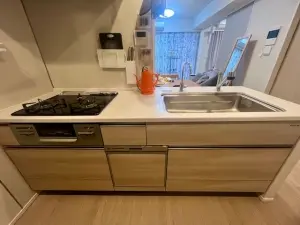 ベルドゥムール草加金明通り