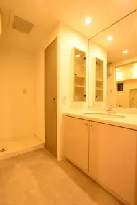 ライオンズマンション新大橋