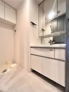 3面鏡裏にも収納、床上部分にもスペースを設けることで体重計等をしまうことも可能です