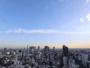 ライオンズマンション大阪スカイタワー