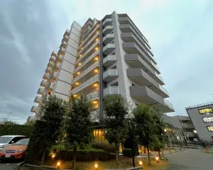 レクセルプラザ守谷