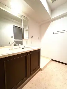 ライオンズマンション堂ヶ芝