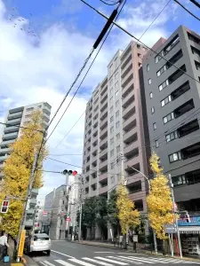 サンクタス小石川プレサイス