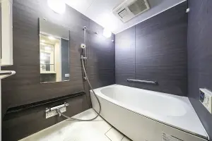 ポレスター川崎