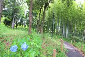 港北ニュータウンかしの木台ハイツ５号棟