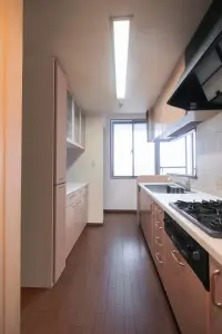 レクセルマンション高根公団