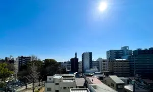 ダイアパレスセントラルザ・フォート