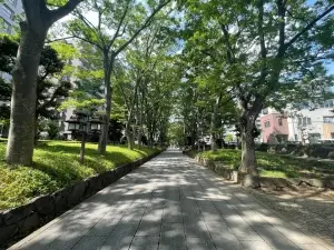 ライオンズヴィアーレ大宮