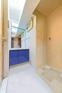 ナイスアーバン新川崎ステイツ