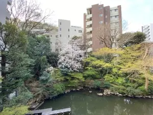 トーア駒込