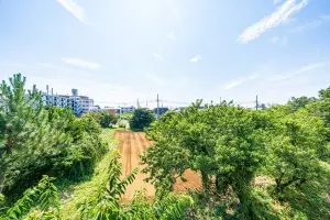 川口市東川口１丁目戸建