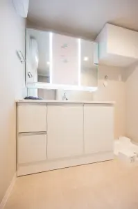 ライオンズシティ新越谷