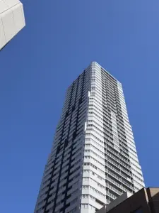 敷地南西側から撮影