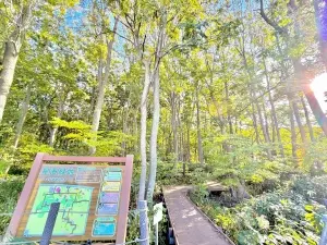 手稲区星置２条５丁目古屋付土地