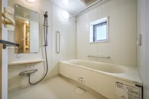 エルラフィナ白金