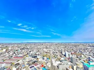 ザ・サッポロタワー琴似