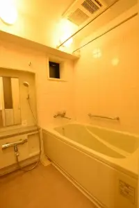 ライオンズマンション新大橋