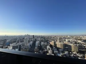 グランドメゾンＴｈｅ池下ガーデンタワー